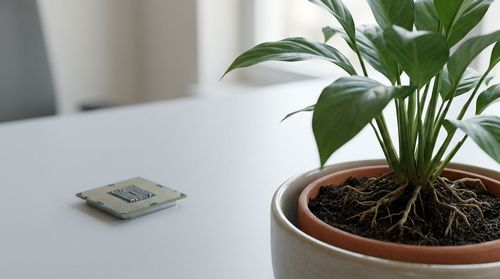 2. The Myopia of Technical Chops: Overemphasising Technical Skills