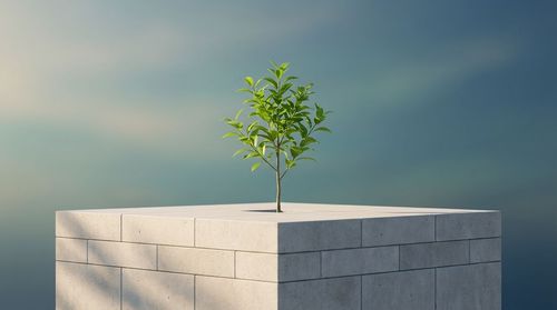 Conclusion and Future Directions